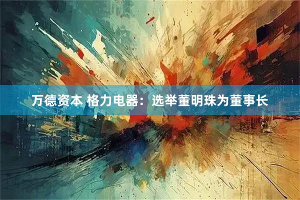 万德资本 格力电器：选举董明珠为董事长