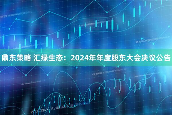 鼎东策略 汇绿生态：2024年年度股东大会决议公告