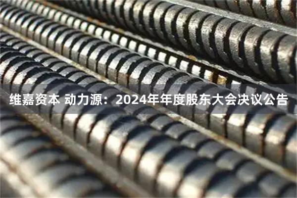 维嘉资本 动力源：2024年年度股东大会决议公告