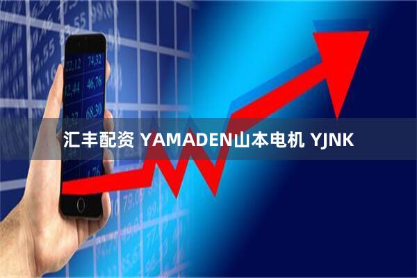 汇丰配资 YAMADEN山本电机 YJNK