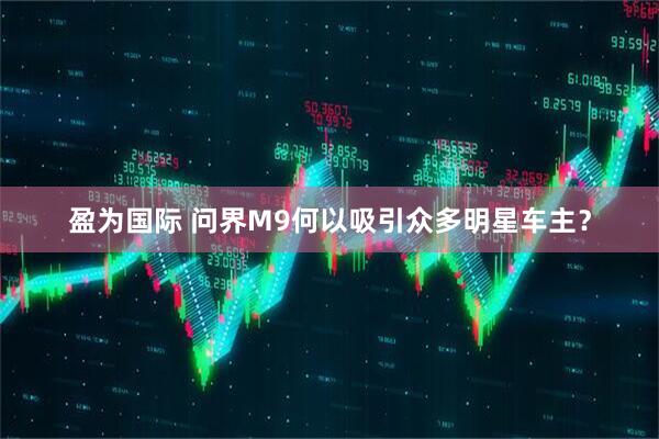 盈为国际 问界M9何以吸引众多明星车主？