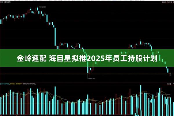 金岭速配 海目星拟推2025年员工持股计划