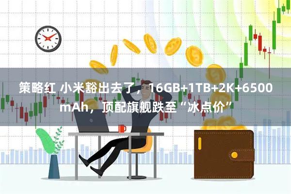 策略红 小米豁出去了，16GB+1TB+2K+6500mAh，顶配旗舰跌至“冰点价”