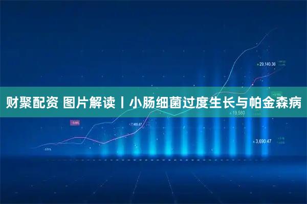 财聚配资 图片解读丨小肠细菌过度生长与帕金森病